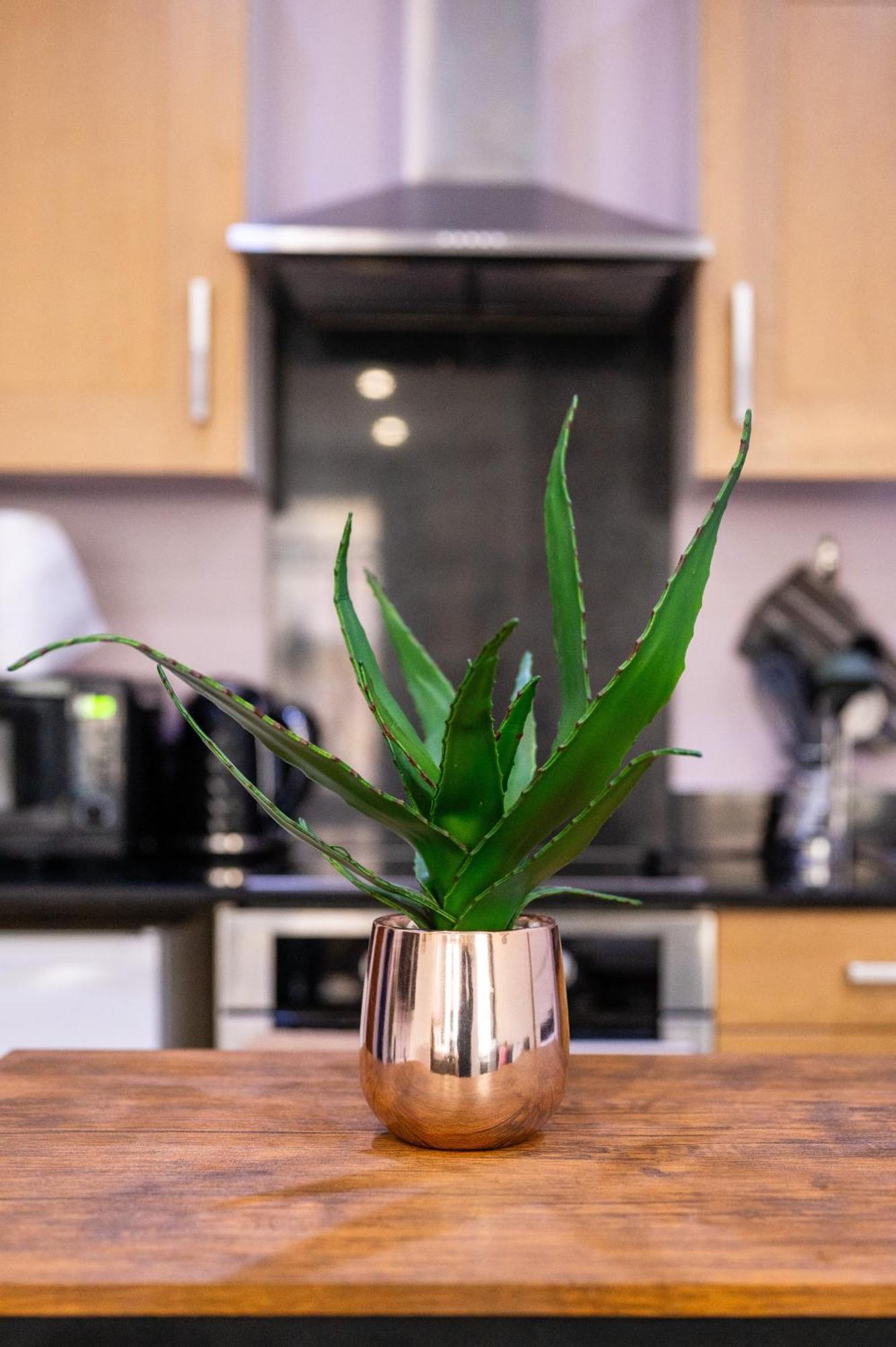Reef7 - Modern Central Flat, 5 Mins From Beach, Centre And Bournemouth International Centre Buitenkant foto